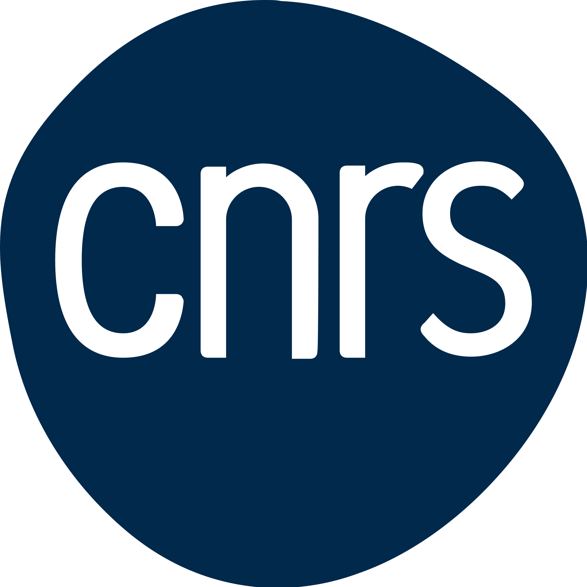 Logo_Centre_national_de_la_recherche_scientifique_(2023-).svg